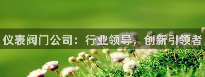 新宝 gg创造