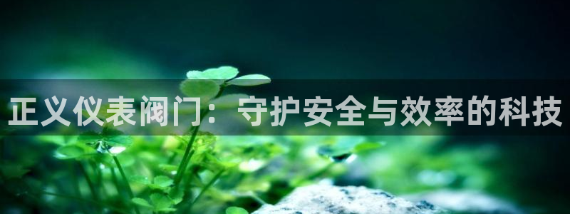 新宝gg反水