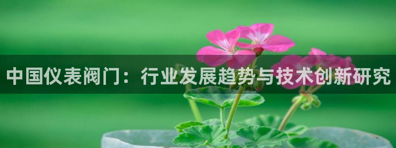 新宝gg直