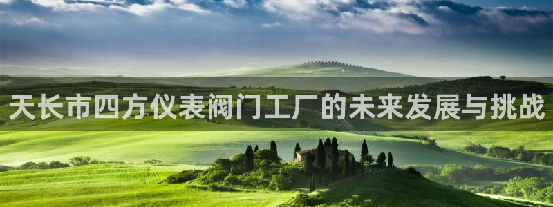 新宝gg联系