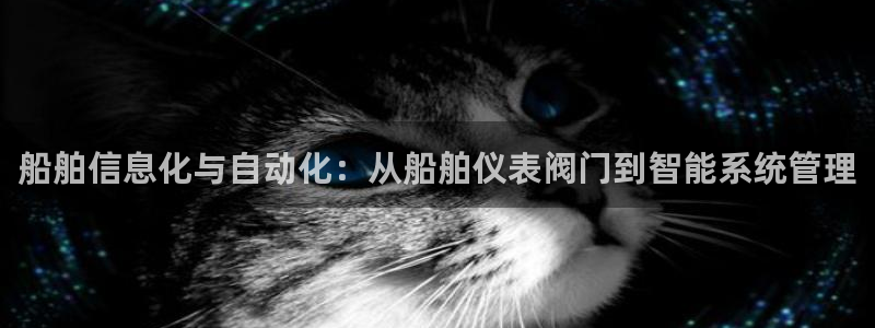 新宝gg返点模式