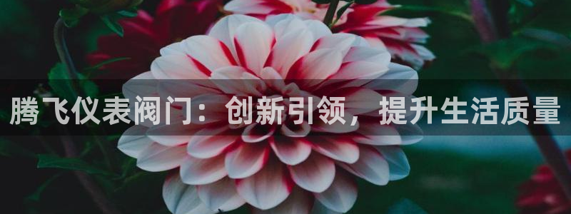 新宝gg是新宝几